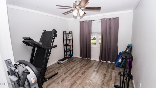 exercise area featuring wood-type flooring, ceiling fan, and crown molding