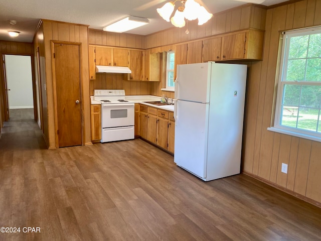 kitchen with light wood-type flooring, white appliances, and a wealth of natural light