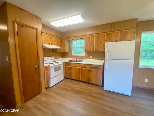 kitchen featuring plenty of natural light, white appliances, sink, and light hardwood / wood-style flooring