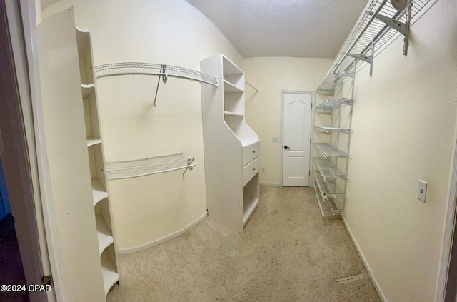 walk in closet featuring light carpet