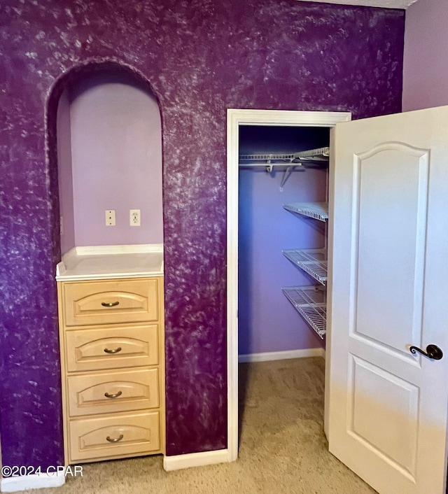 interior space with light carpet and a closet