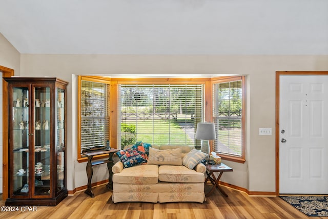 interior space with lofted ceiling and light wood-type flooring