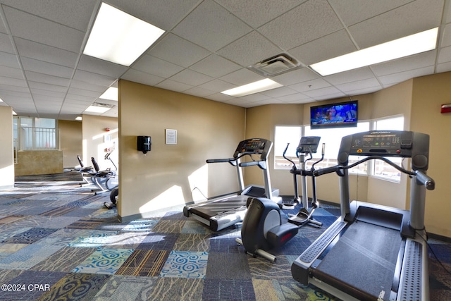 workout area featuring a paneled ceiling and carpet floors