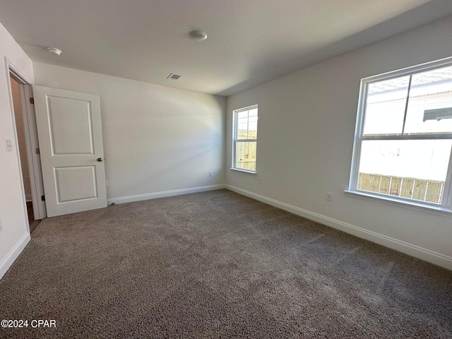 carpeted spare room featuring a wealth of natural light