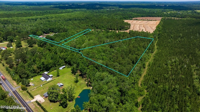 Listing photo 3 for TBD Early Ln, Graceville FL 32440