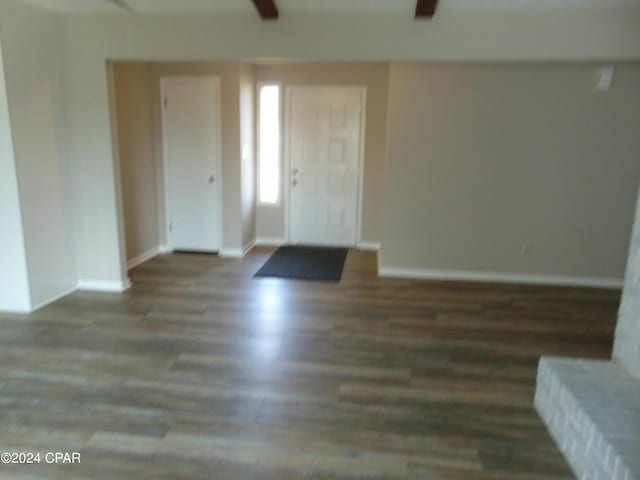 foyer with dark hardwood / wood-style floors