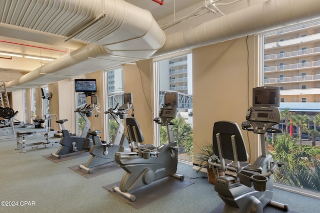 workout area with carpet floors