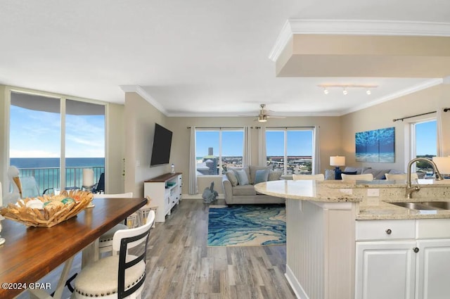 kitchen with light wood-type flooring, crown molding, track lighting, white cabinets, and sink