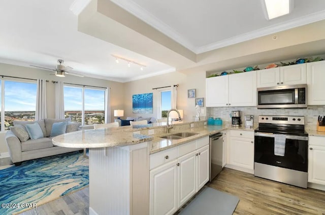 kitchen featuring light hardwood / wood-style flooring, appliances with stainless steel finishes, kitchen peninsula, and backsplash