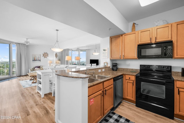 kitchen featuring light hardwood / wood-style floors, kitchen peninsula, a wealth of natural light, and black appliances