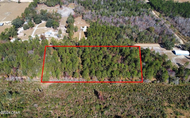 000 Willoughby Ln, Bonifay FL, 32425 land for sale