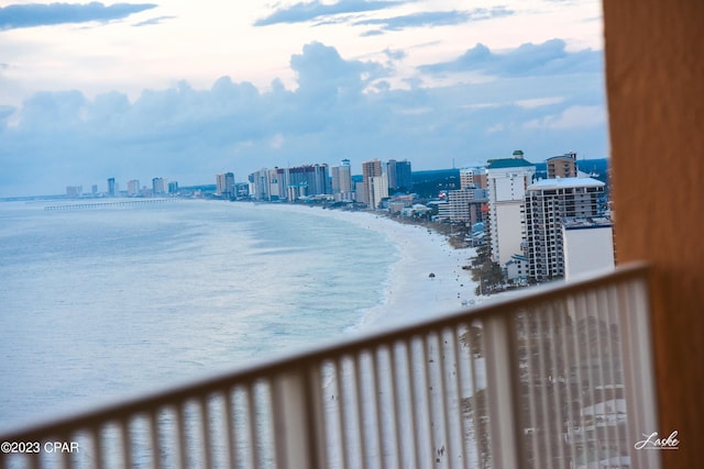 water view with a view of the beach