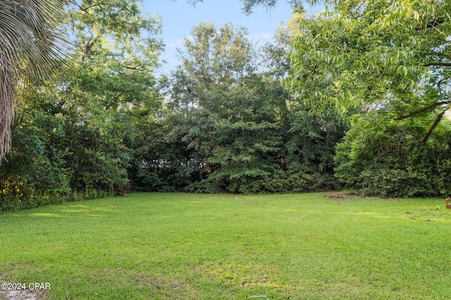 703 N Waukesha St, Bonifay, FL 32425 - view of green lawn