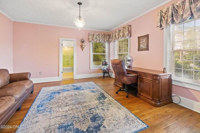 office featuring light hardwood / wood-style floors and ornamental molding