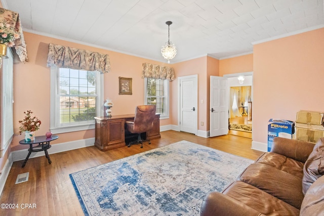 office featuring crown molding and wood-type flooring