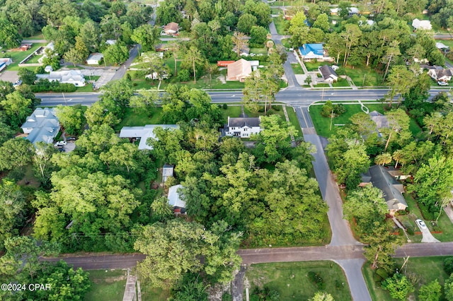 bird's eye view