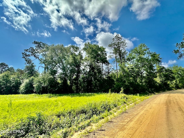 Listing photo 2 for 0 Bony Bridge Rd, Graceville FL 32440