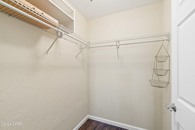 walk in closet with dark wood finished floors