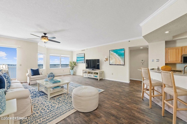 living area featuring dark wood-style floors, crown molding, a textured ceiling, and baseboards