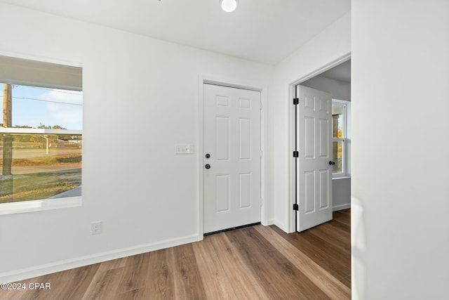 foyer entrance featuring hardwood / wood-style flooring