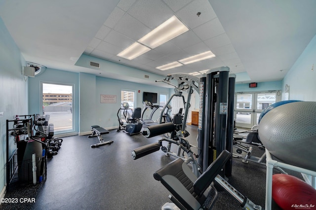 exercise room featuring a wealth of natural light and a drop ceiling