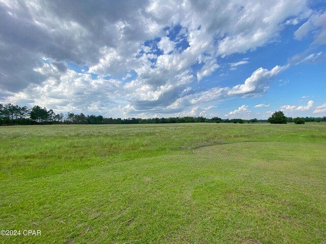 view of yard featuring a rural view