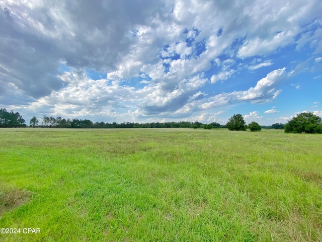 view of local wilderness featuring a rural view