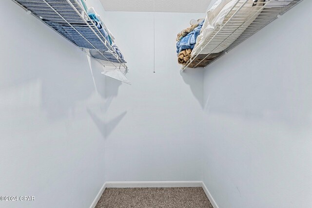 walk in closet featuring carpet