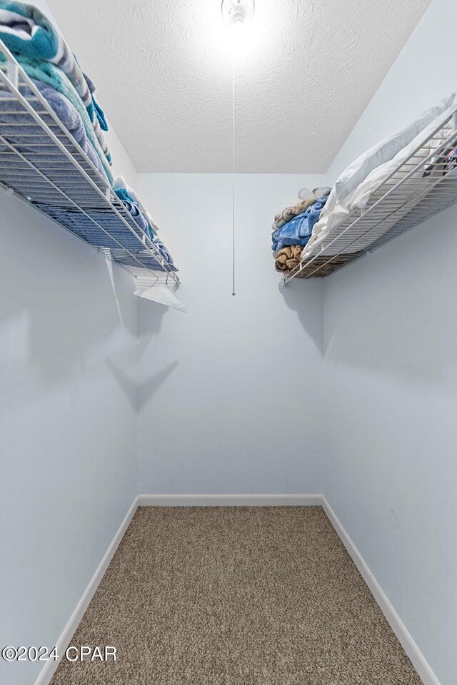 spacious closet with carpet flooring