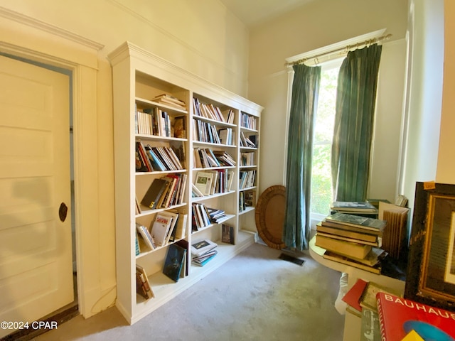 interior space with a wealth of natural light and carpet