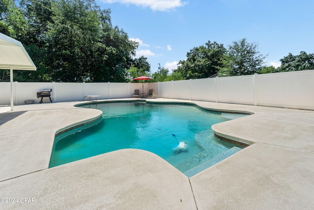 view of pool featuring a patio area and a diving board