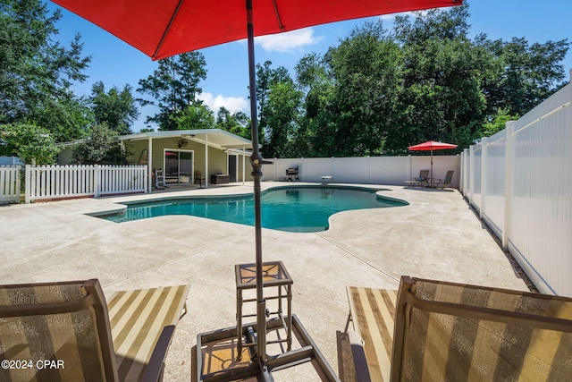 view of swimming pool with a patio area