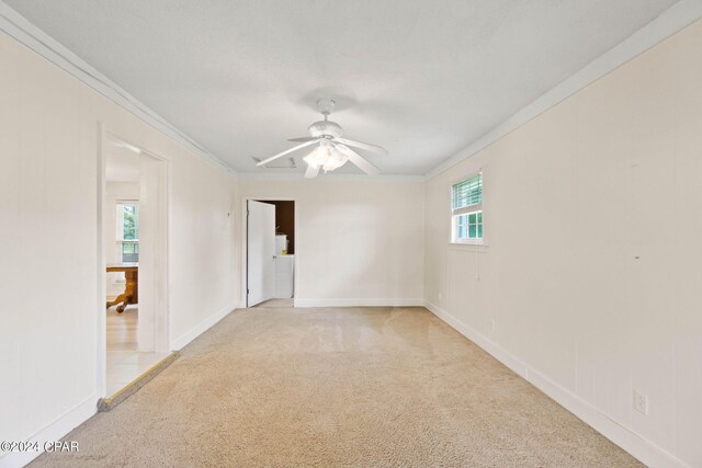 unfurnished room featuring ceiling fan, ornamental molding, and light carpet