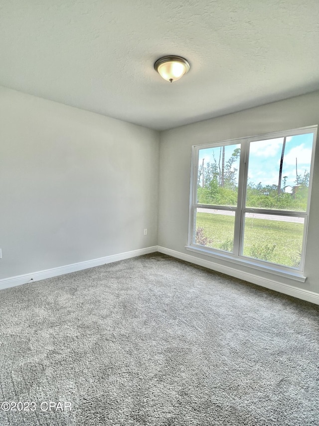 spare room featuring a textured ceiling and carpet floors