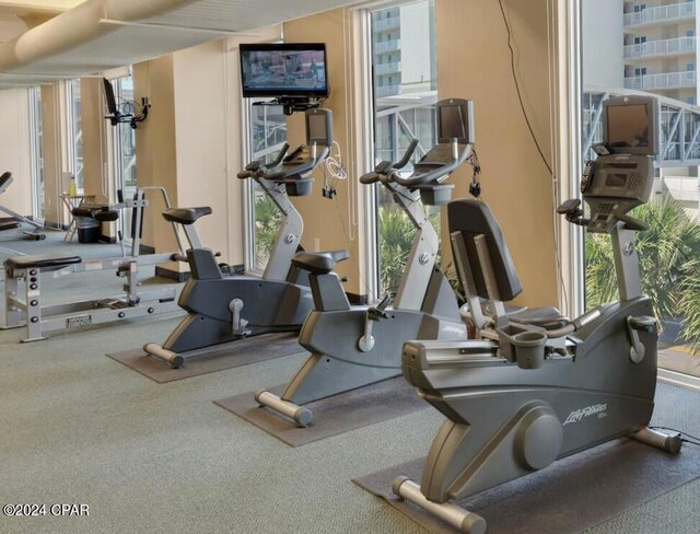 gym featuring a wealth of natural light