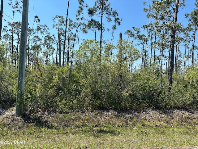 11831 Hauser Rd, Panama City FL, 32404 land for sale