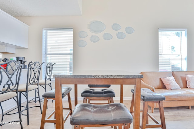 dining space with light hardwood / wood-style floors