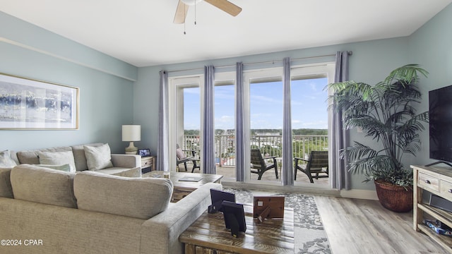 living room with ceiling fan and hardwood / wood-style flooring