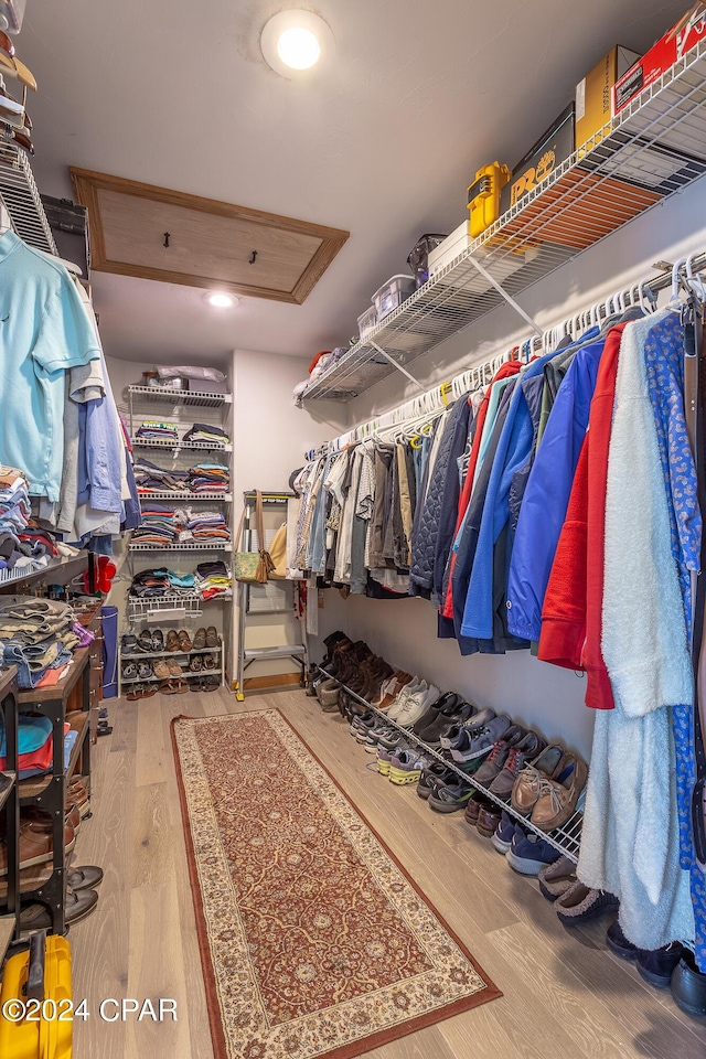 spacious closet with hardwood / wood-style flooring