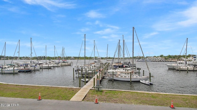 dock area with a water view