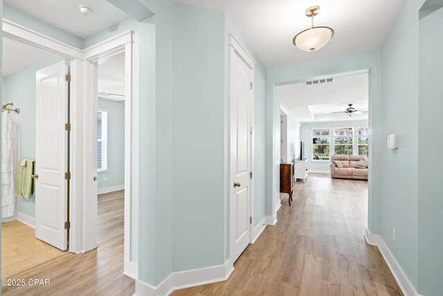 hall featuring light hardwood / wood-style floors