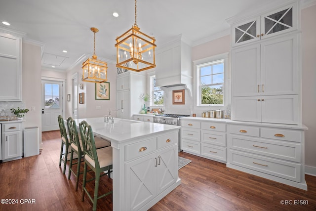 kitchen featuring premium range hood, sink, hanging light fixtures, a center island with sink, and a kitchen breakfast bar