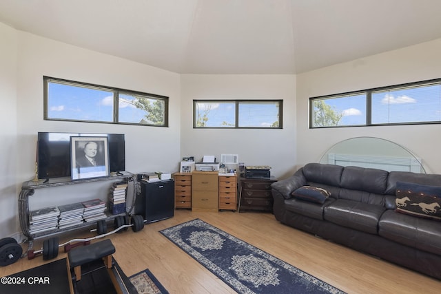 living room featuring wood-type flooring