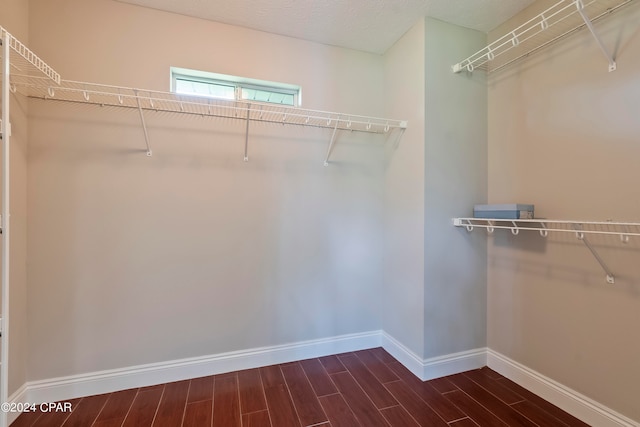 spacious closet with wood-type flooring