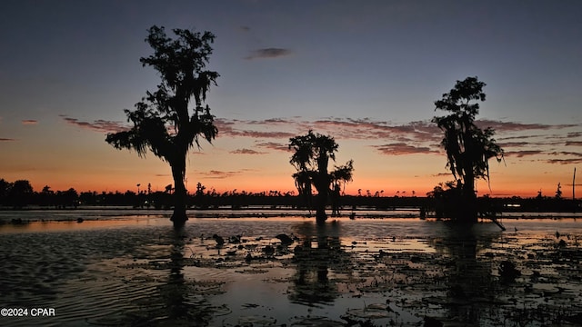 nature at dusk featuring a water view