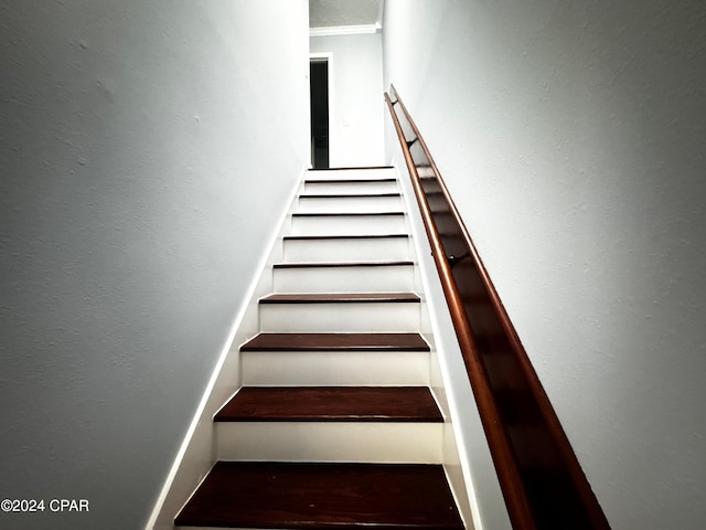 stairs featuring wood-type flooring