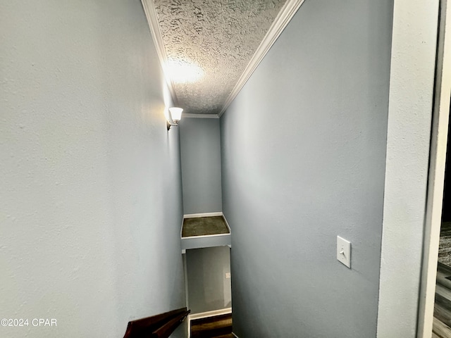 interior space with crown molding and a textured ceiling