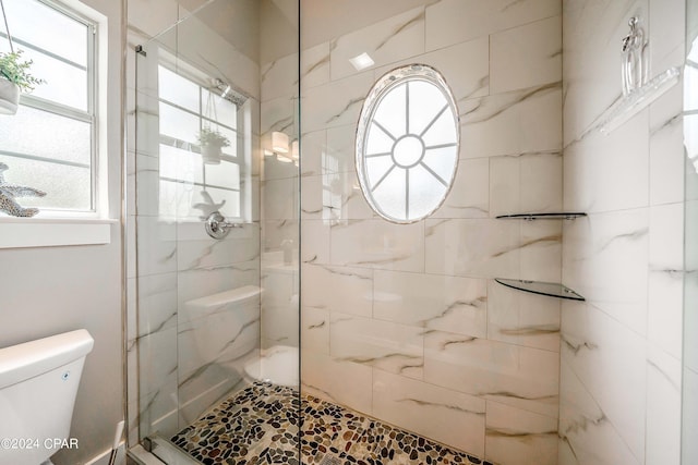 bathroom featuring a stall shower and toilet