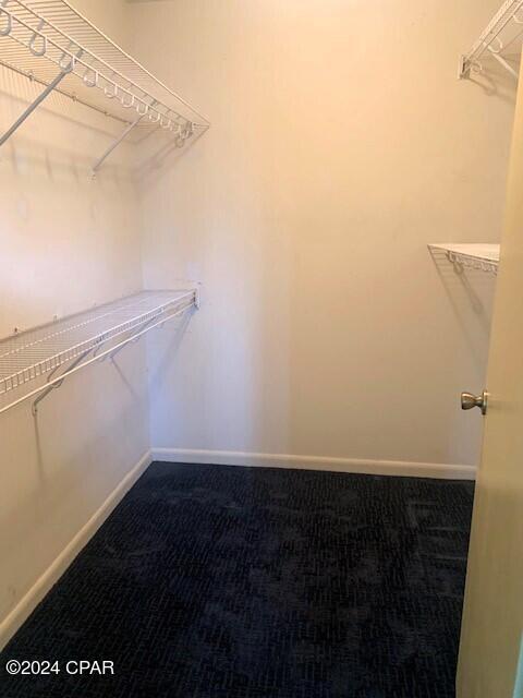 spacious closet with carpet