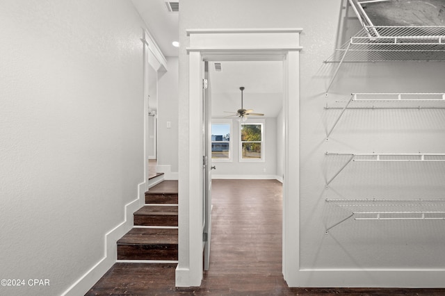 interior space with ceiling fan and dark hardwood / wood-style flooring